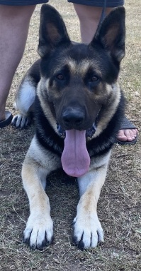 Zeus